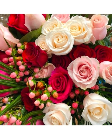 Mixed roses cut bouquet Flowers