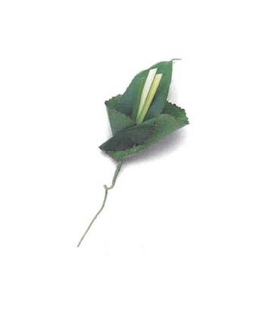Boutonniere Flower Arrangement