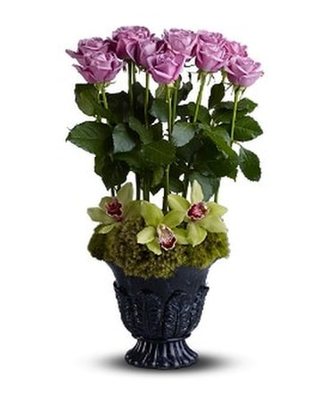 Teleflora's Heavenly Grace - by Aliso Viejo Floris Flower Arrangement