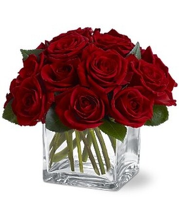Dozen Rose Contempo Flower Arrangement