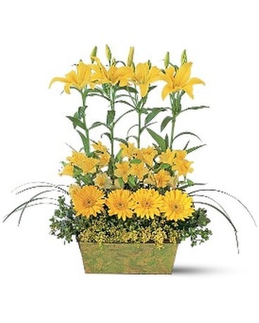 Yellow Garden Rows Flower Arrangement