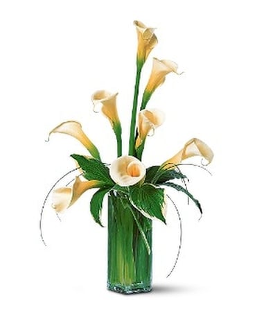 White Callas Flower Arrangement