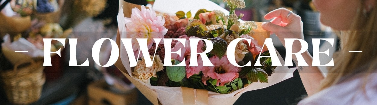 Flower and Bouquet Care by Paul Wood Florist