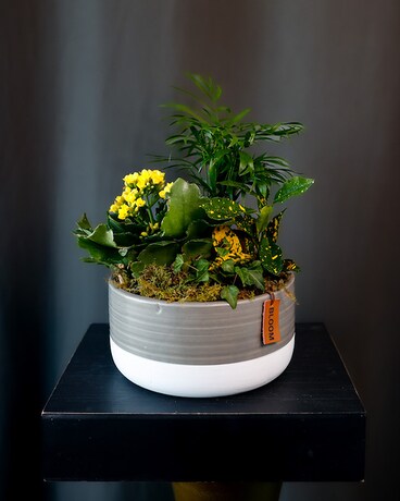 Bloom Flower Arrangement