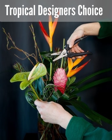 Tropical Designers Choice Arrangement Flower Arrangement
