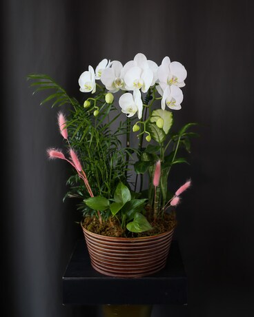 Sweet Mama Flower Arrangement