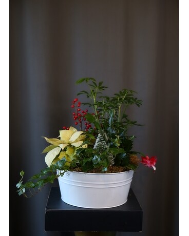Season's Greetings Flower Arrangement