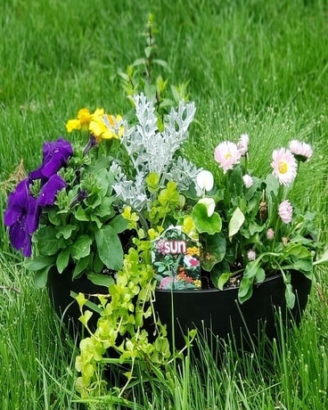 Outdoor Boval Flower Arrangement