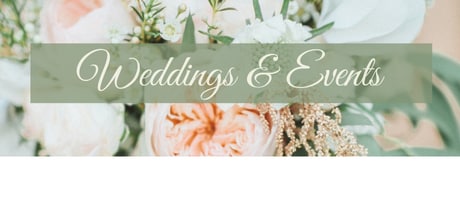 Beautiful Seasonal Flowers Banner