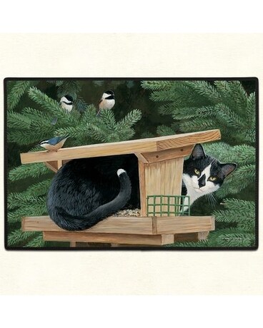 Bad Kitty $30.00 Gifts