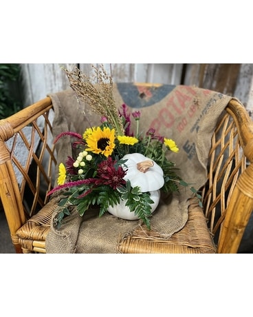 Pearson's Spooky Spider Pumpkin Flower Arrangement