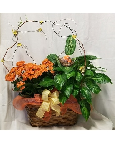 Decorated Double Planter Plant