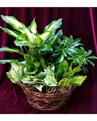 Mixed European Garden Flower Arrangement