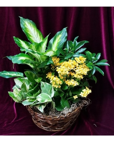 Blooming European Basket Flower Arrangement