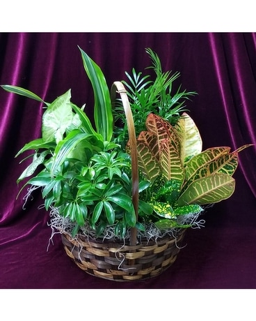 Green Garden Basket Flower Arrangement