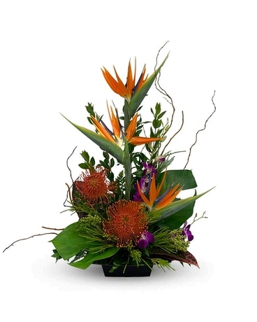 Exotic arrangement Flower Arrangement