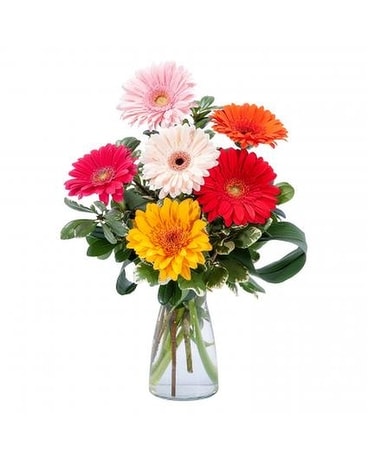 Colorful Gerbras Flower Arrangement