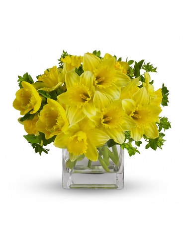 Daffodils Flower Arrangement