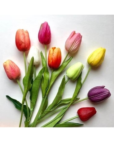 Designer's Choice- Mixed Tulip Arrangement Flower Arrangement