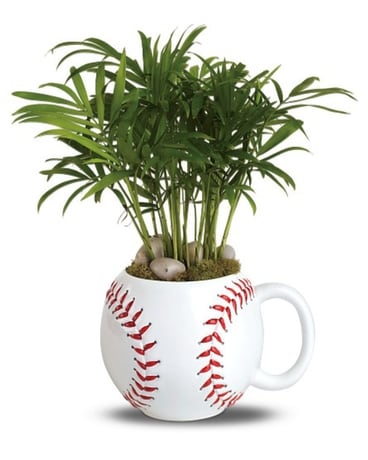 Base Hit Planter Plant