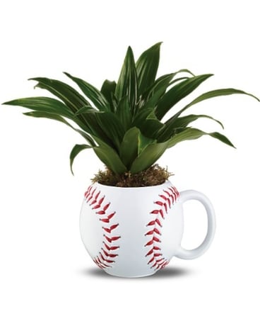 Line Drive Planter Plant