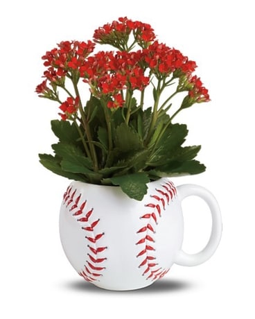 Grand Ball Planter Plant
