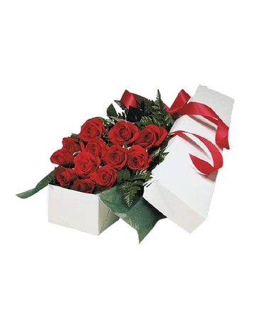 1 Dozen roses boxed