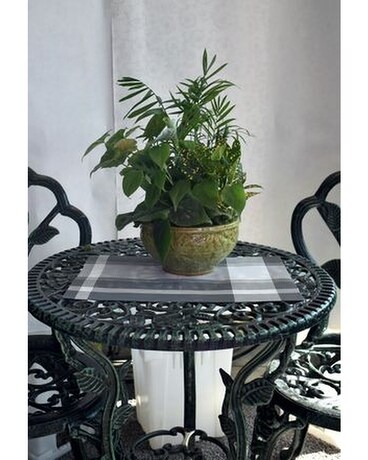 Medium Dish Garden Dish Garden Plant