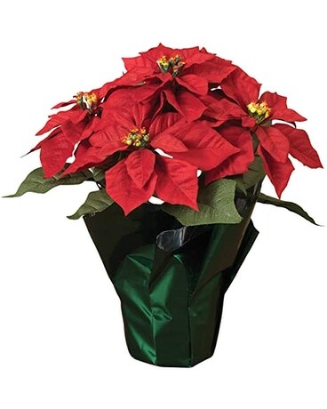 4 Inch Poinsettia