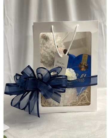 My Teddy Bear Friendship Gift Bundle Gifts