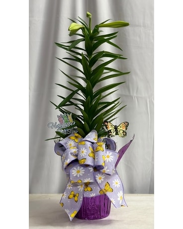 Easter Lily Flower Arrangement