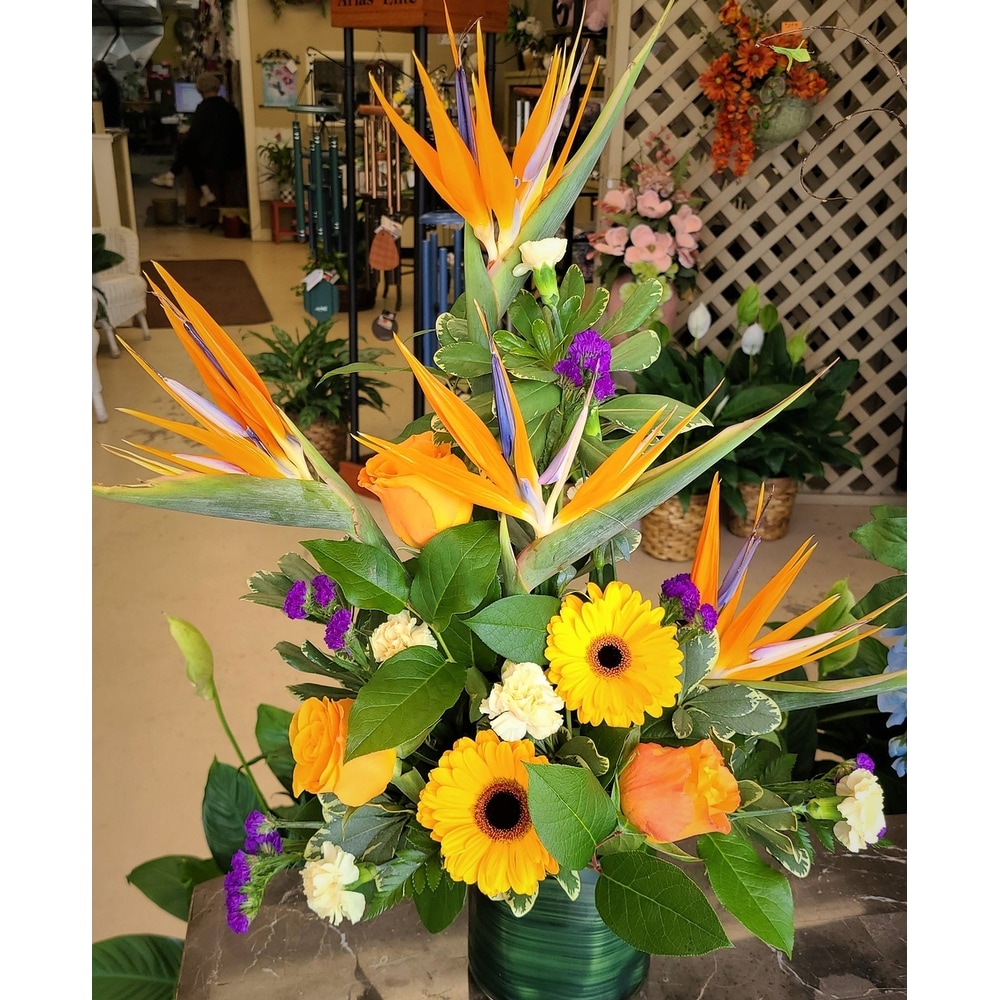 Birds of Life and True Paradise in Huntsville AL - Albert's Flowers
