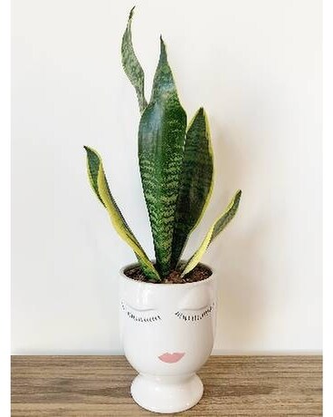 Funky Cold Medusa Flower Arrangement