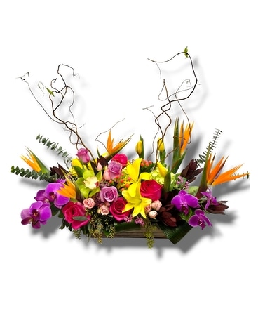 Tropical Blossoms Flower Arrangement
