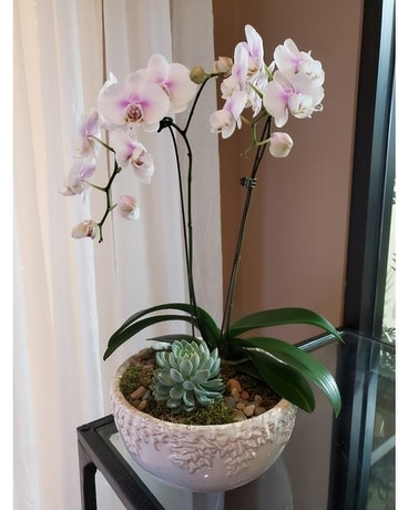 Birthday Flowers Delivery Naperville Il Naperville Florist