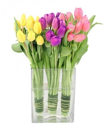 Modern Tulips Flower Arrangement
