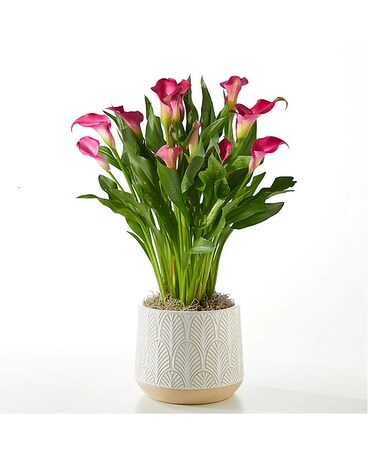 sku13800917.jpg