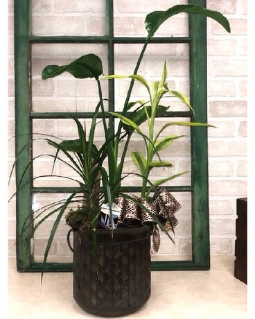Bird in Bronze Plant
