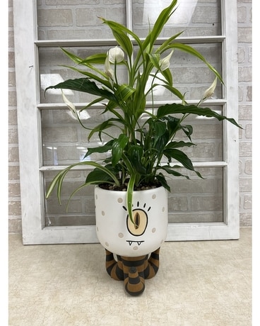 My Little Monster Planter Plant