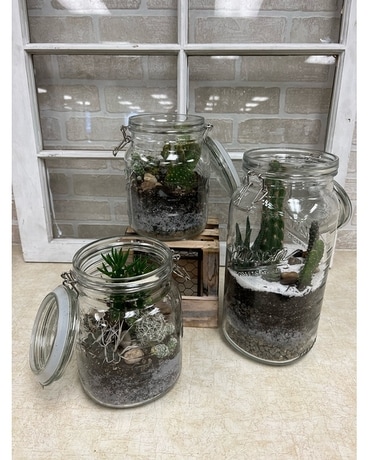 Mason Jar Cactus Plant