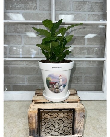 Beacon of Hope Planter Plant