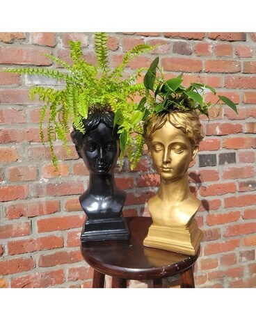 Victorian Lady Planter Plant