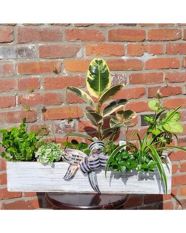 Green Array Planter Plant