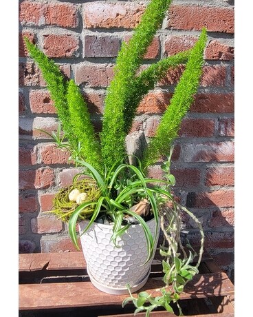 Fantastic Foxtail Mixed Planter Plant