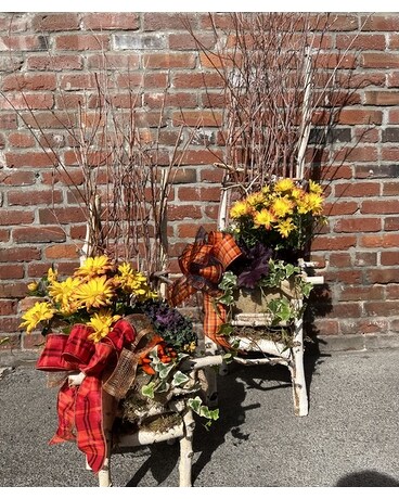 Birch Chair Planter Plant