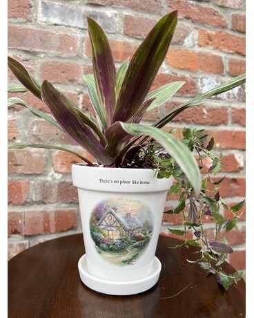 There's No Place Like Home Plant