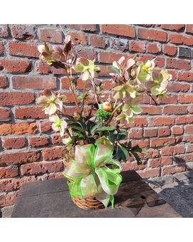 Hellebore Heaven Flower Arrangement