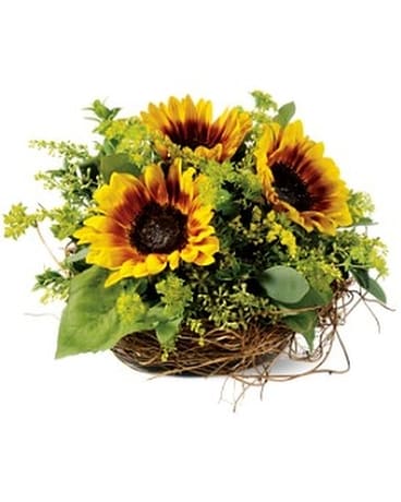 Nesting Sunflowers Flower Arrangement
