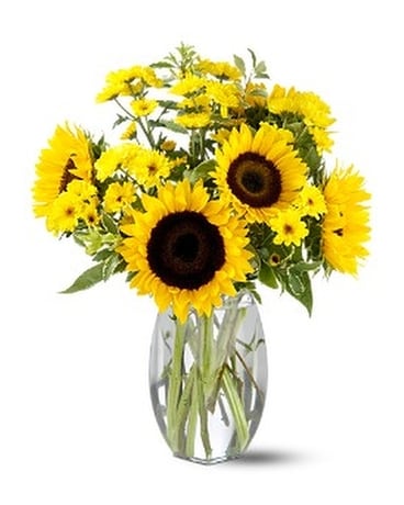 Teleflora's Sunflower Splash Flower Arrangement