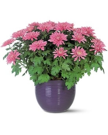 Lavender Chrysanthemum Flower Arrangement